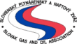 SPNZ-e1373225383298