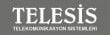 telesis-e1373227894598