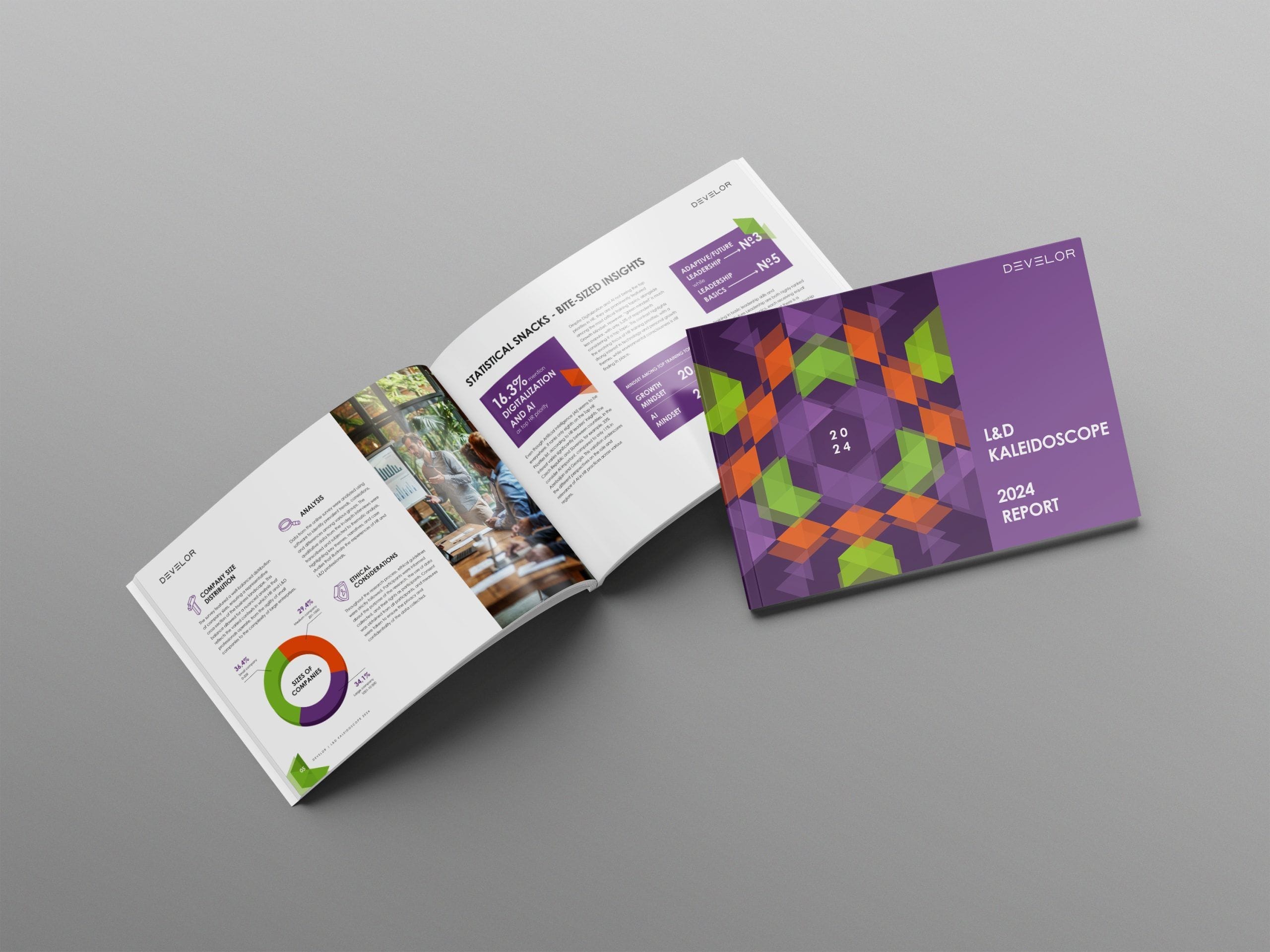 DEVELOR_LD_Kaleidoscope_2024_report_mockup-scaled